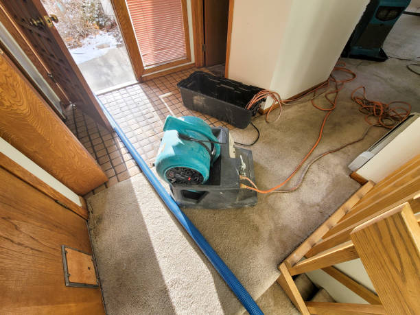 Best Flood damage cleanup  in Rendon, TX