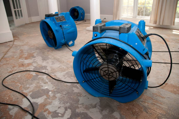 Best Water damage repair service  in Rendon, TX