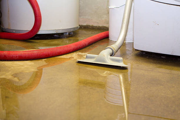 Best Fire Damage Restoration  in Rendon, TX