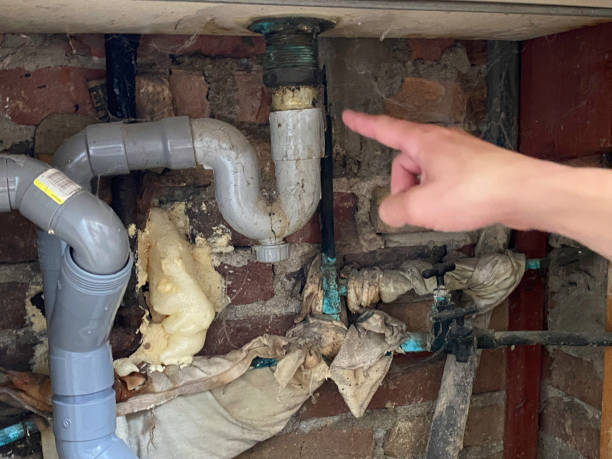 Best Flood restoration services  in Rendon, TX