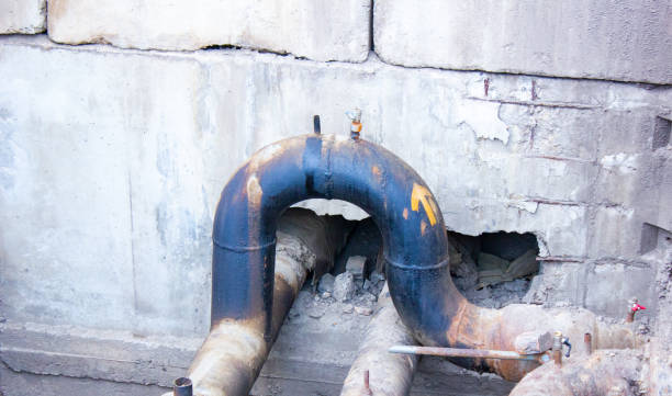 Best Mold removal after water damage  in Rendon, TX