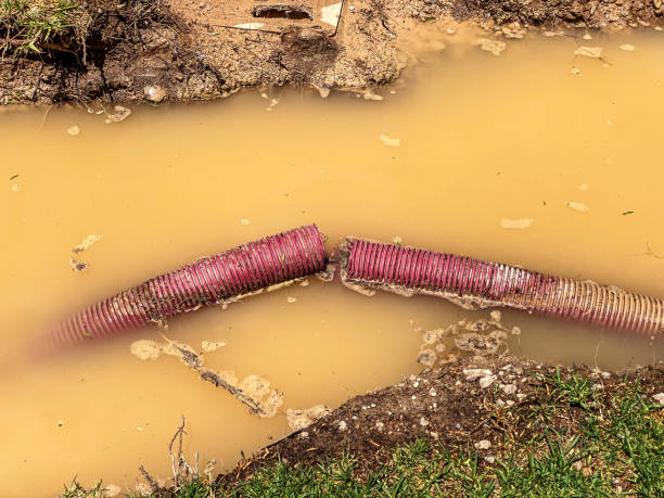 Best Water damage restoration cost  in Rendon, TX