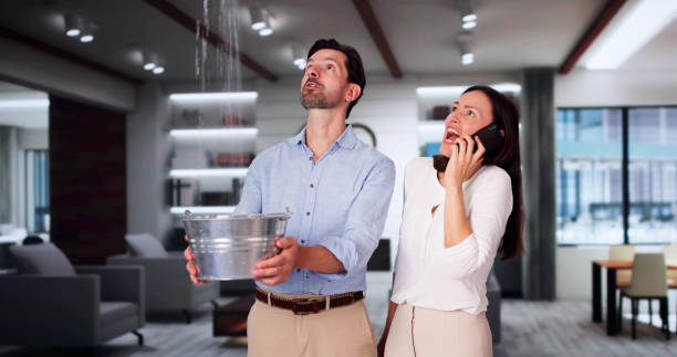 Best Water damage cleanup near me  in Rendon, TX